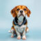 Hond braken oorzaak