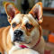 Hond spoedgeval contact dierenarts