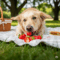 Mogen honden aardbeien eten